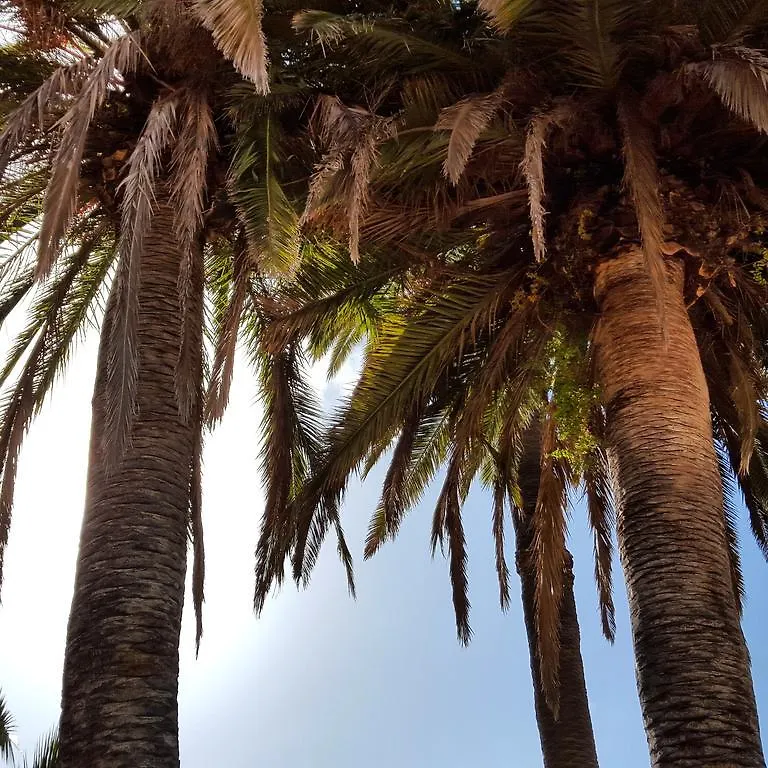 Casa Rural El Traspatio Granadilla De Abona Εξοχικό σπίτι